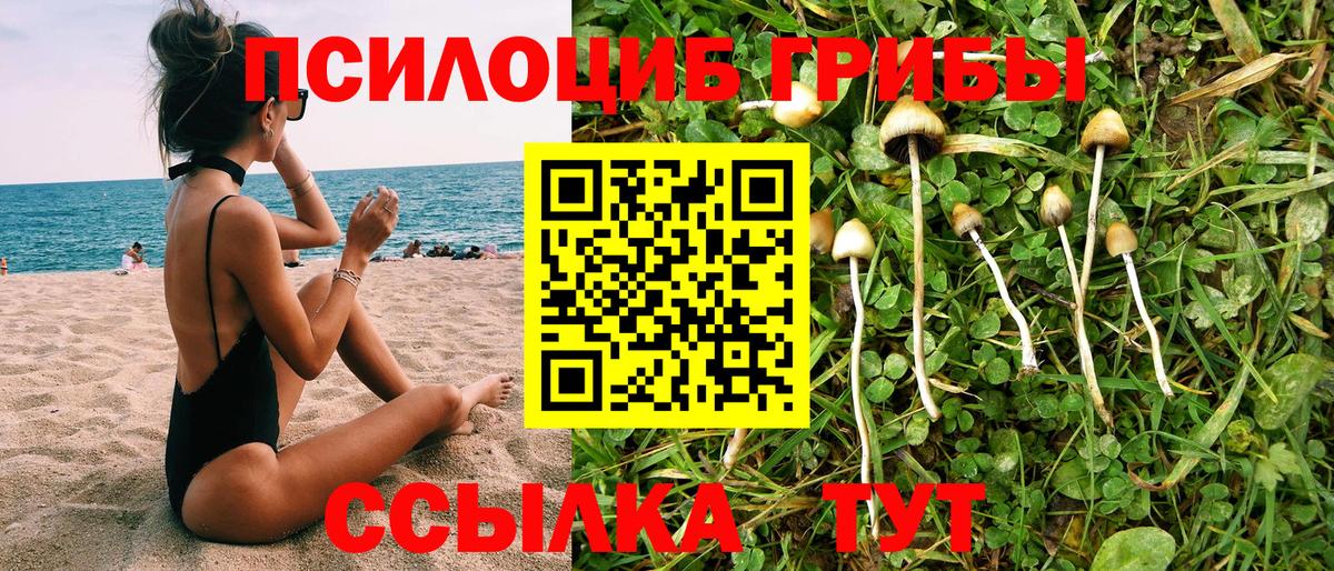 Галлюциногенные грибы мухоморы  Вход с VPN  Новошахтинск 